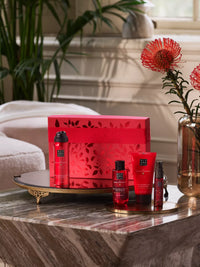 Rituals - the Ritual of Ayurveda