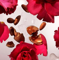 Rituals - the Ritual of Ayurveda