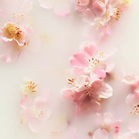 Rituals - the Ritual of Sakura