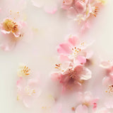 Rituals - the Ritual of Sakura